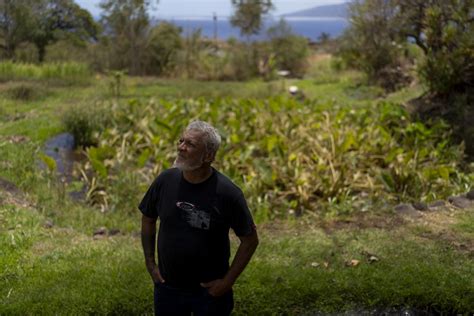 Maui fires renew centuries-old tensions over water rights. The streams are sacred to Hawaiians